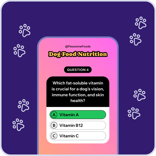 Screenshot of Typito's AI quiz video generator interface